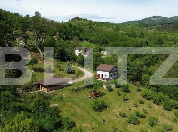 Casa de vânzare 3 camere Ampoita - 195454CV | BLITZ Alba Iulia | Poza7