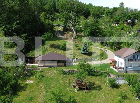 Casa de vânzare 3 camere Ampoita - 195454CV | BLITZ Alba Iulia | Poza6