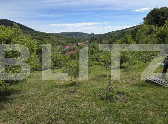 Casa de vânzare 3 camere Ampoita - 195454CV | BLITZ Alba Iulia | Poza20