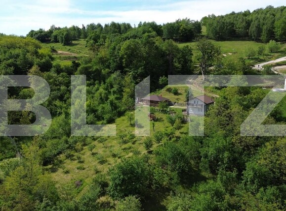 Casa de vânzare 3 camere Ampoita - 195454CV | BLITZ Alba Iulia | Poza3