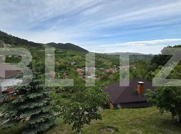 Casa de vânzare 3 camere Ampoita - 195454CV | BLITZ Alba Iulia | Poza19