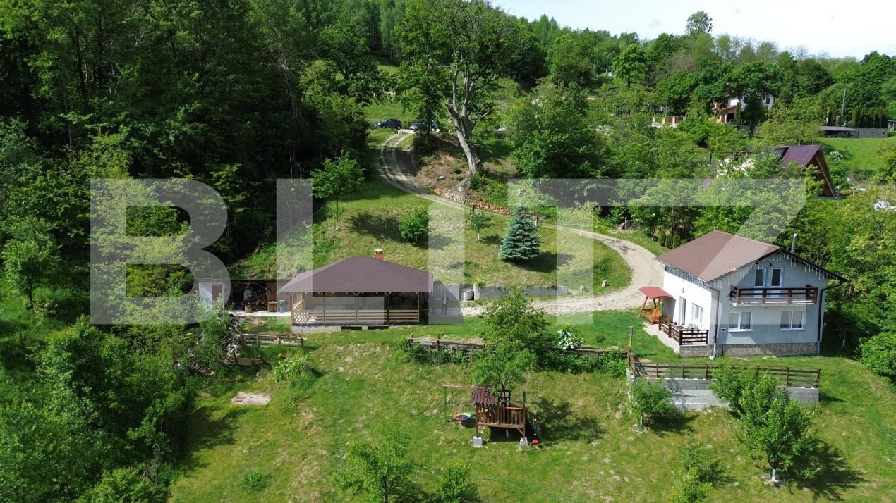 Casa de vânzare 3 camere Ampoita - 195454CV | BLITZ Alba Iulia | Poza6
