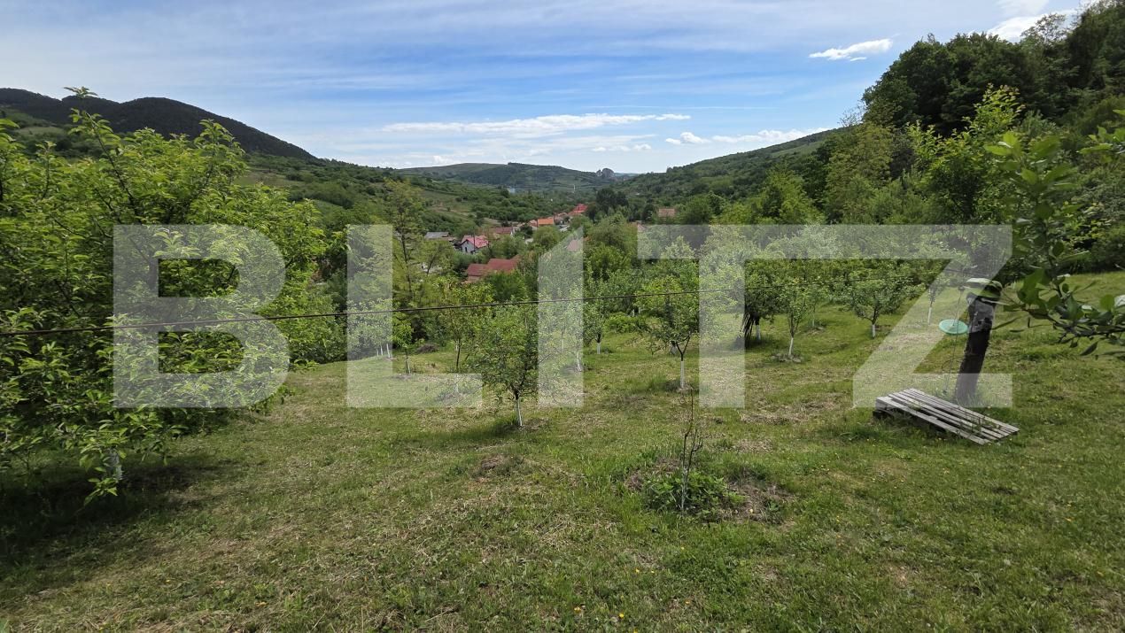 Casa de vânzare 3 camere Ampoita - 195454CV | BLITZ Alba Iulia | Poza20