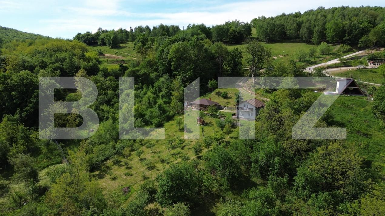 Casa de vânzare 3 camere Ampoita - 195454CV | BLITZ Alba Iulia | Poza17