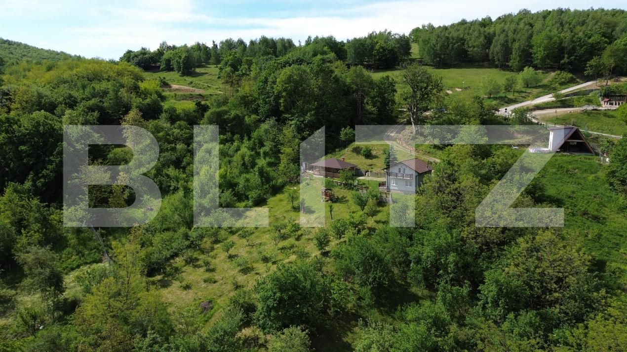 Casa de vânzare 3 camere Ampoita - 195454CV | BLITZ Alba Iulia | Poza3