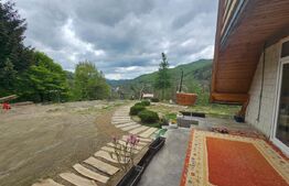 Cabană autentică cu 4565 mp teren, Liniste si Confort, Avram Iancu