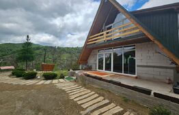 Cabană autentică cu 4565 mp teren, Liniste si Confort, Avram Iancu