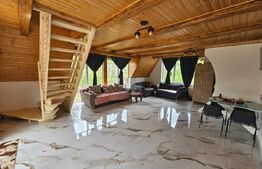 Cabană autentică cu 4565 mp teren, Liniste si Confort, Avram Iancu