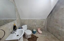 Cabană autentică cu 4565 mp teren, Liniste si Confort, Avram Iancu