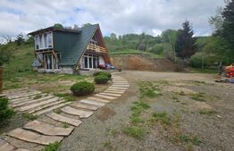 Cabană autentică cu 4565 mp teren, Liniste si Confort, Avram Iancu