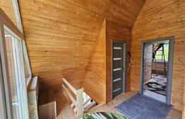 Cabană autentică cu 4565 mp teren, Liniste si Confort, Avram Iancu