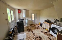 Cabană autentică cu 4565 mp teren, Liniste si Confort, Avram Iancu