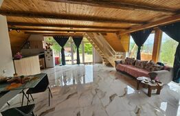 Cabană autentică cu 4565 mp teren, Liniste si Confort, Avram Iancu