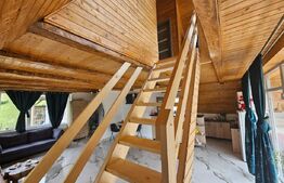 Cabană autentică cu 4565 mp teren, Liniste si Confort, Avram Iancu
