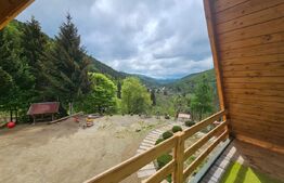 Cabană autentică cu 4565 mp teren, Liniste si Confort, Avram Iancu