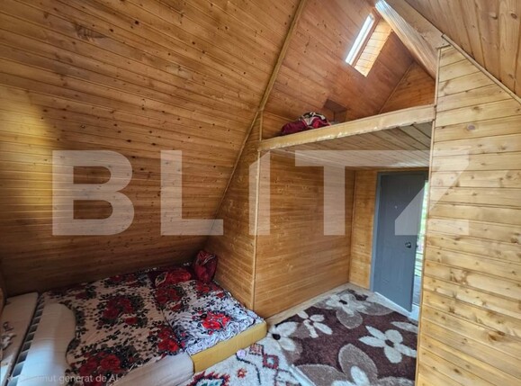 Casa de vânzare 4 camere Avram Iancu - 195613CV | BLITZ Alba Iulia | Poza13