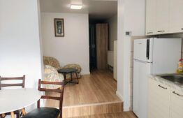 Apartament de inchiriat, 30 mp, pretabil locuit sau birou, zona Cetate