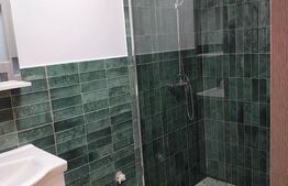 Apartament de inchiriat, 30 mp, pretabil locuit sau birou, zona Cetate
