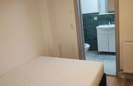 Apartament de inchiriat, 30 mp, pretabil locuit sau birou, zona Cetate