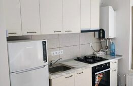 Apartament de inchiriat, 30 mp, pretabil locuit sau birou, zona Cetate