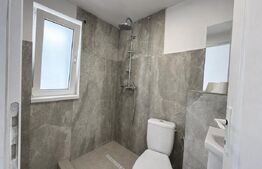 Casa noua de vanzare, 133 mp, 5 camere, 319 mp teren- Alba - Micesti