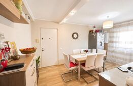Apartament de vanzare,52 mp- Ampoi 1