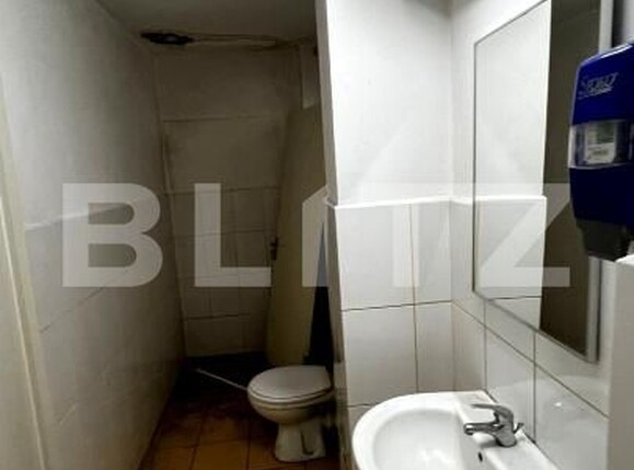 Spațiu comercial de închiriat Central - 197275SIC | BLITZ Alba Iulia | Poza10