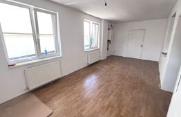Spațiu comercial de vânzare, 195 mp utili, 500 mp teren, zona Central