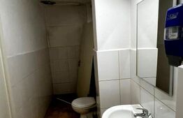 Spațiu comercial de vânzare, 195 mp utili, 500 mp teren, zona Central