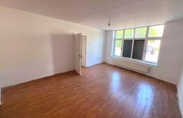 Spațiu comercial de vânzare, 195 mp utili, 500 mp teren, zona Central