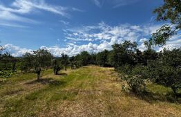 Teren intravilan cu acces la asfalt 1.600 mp în Vintu de Jos