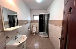 Casă de inchiriat, 345 mp utili, teren 1.342mp, zona Blaj 