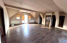 Casă de inchiriat, 345 mp utili, teren 1.342mp, zona Blaj 
