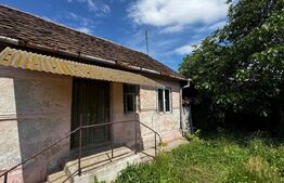 Proprietate de vanzare, 60 mp, teren 1.600 mp, Vintu de Jos