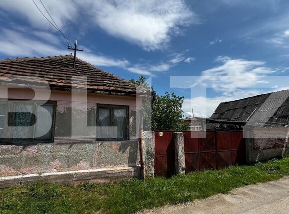 Casa de vânzare 2 camere Vinţu de Jos - 197281CV | BLITZ Alba Iulia | Poza2