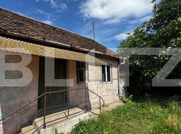 Casa de vânzare 2 camere Vinţu de Jos - 197281CV | BLITZ Alba Iulia | Poza6
