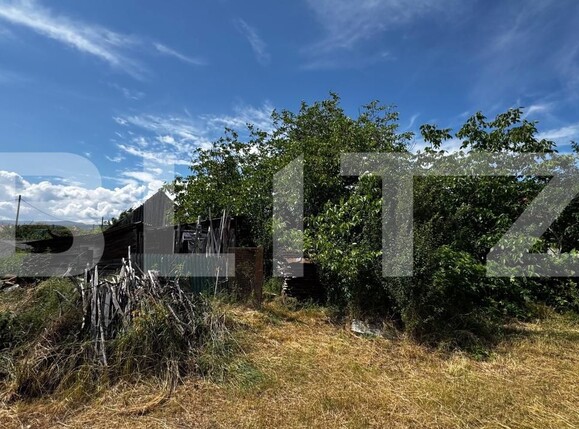 Casa de vânzare 2 camere Vinţu de Jos - 197281CV | BLITZ Alba Iulia | Poza4