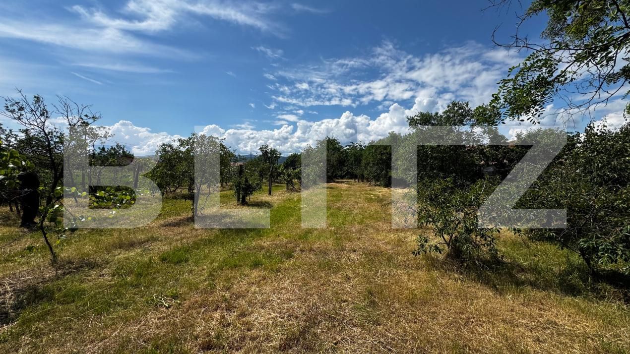 Casa de vânzare 2 camere Vinţu de Jos - 197281CV | BLITZ Alba Iulia | Poza5