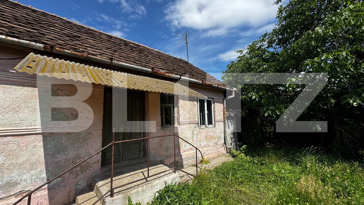Casa de vânzare 2 camere Vinţu de Jos - 197281CV | BLITZ Alba Iulia | Poza6