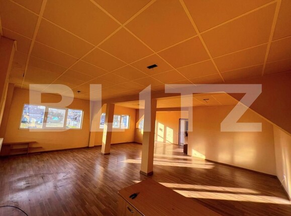 Spațiu comercial de vânzare Blaj - 197286SVC | BLITZ Alba Iulia | Poza3