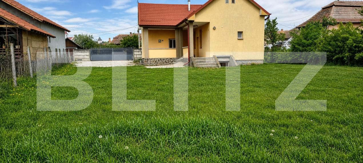 Spațiu comercial de închiriat Unirea - 197352SIC | BLITZ Alba Iulia | Poza2