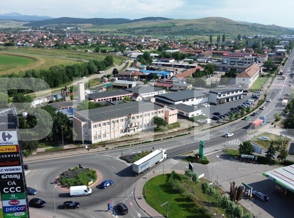 Spațiu industrial de vânzare Ampoi 1 - 197422SVI | BLITZ Alba Iulia | Poza5
