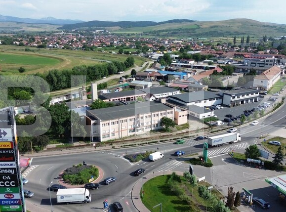 Spațiu industrial de vânzare Ampoi 1 - 197422SVI | BLITZ Alba Iulia | Poza7