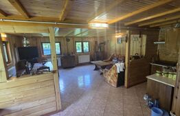 Cabană de vanzare, 100 mp, zona Ramet