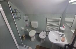 Cabană de vanzare, 100 mp, zona Ramet