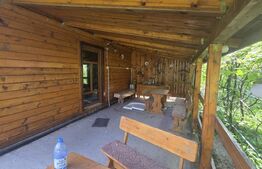 Cabană de vanzare, 100 mp, zona Ramet