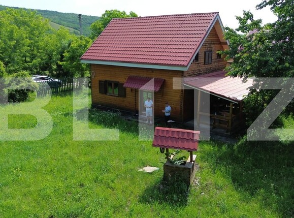 Casa de vânzare 4 camere Ramet - 197428CV | BLITZ Alba Iulia | Poza12