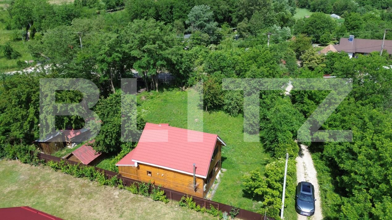 Casa de vânzare 4 camere Ramet - 197428CV | BLITZ Alba Iulia | Poza10