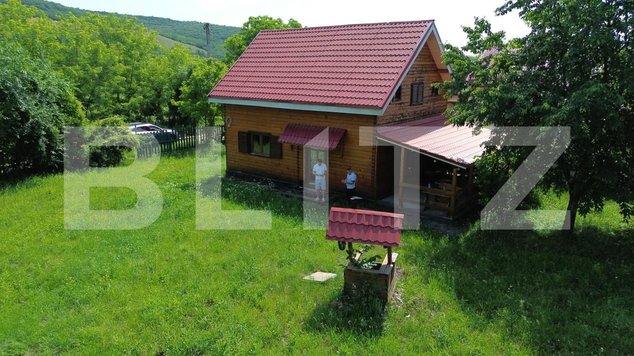 Casa de vânzare 4 camere Ramet - 197428CV | BLITZ Alba Iulia | Poza12
