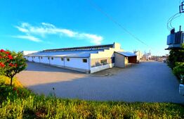 Hale Industriale 3.850 mp Utili + Teren 11.400 mp | Blaj